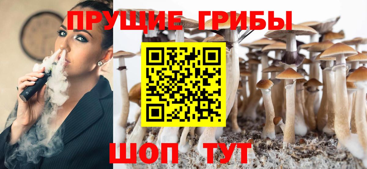 Галлюциногенные грибы Psilocybe Шарыпово